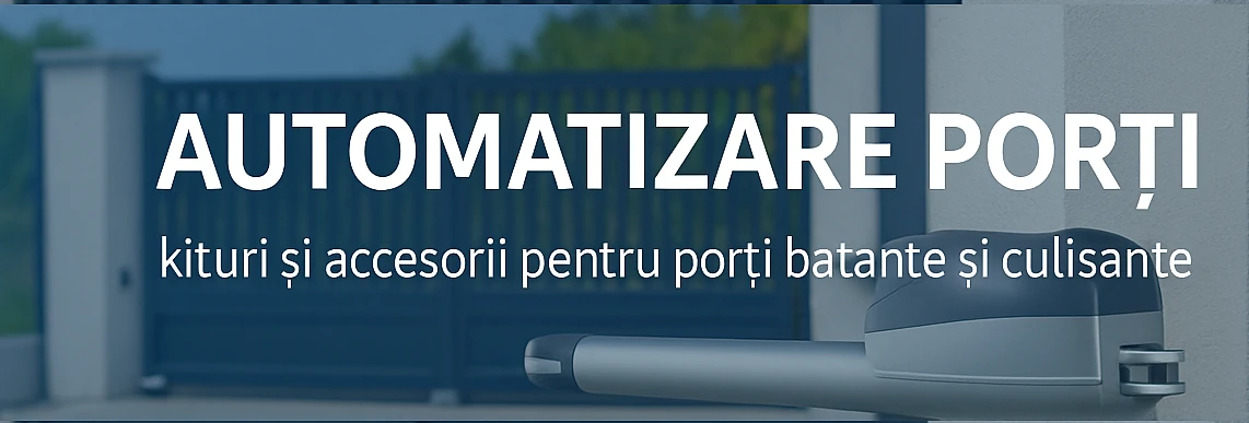 Automatizare porti